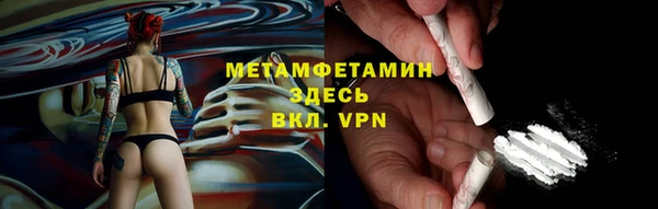 PSILOCYBIN Волосово
