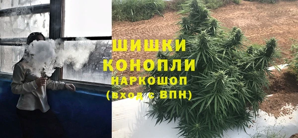 PSILOCYBIN Волосово