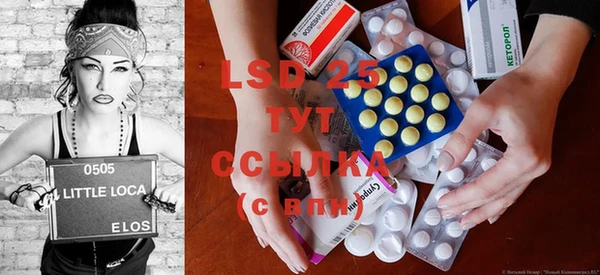 PSILOCYBIN Волосово