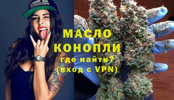 сатива Волоколамск