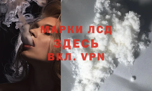 PSILOCYBIN Волосово