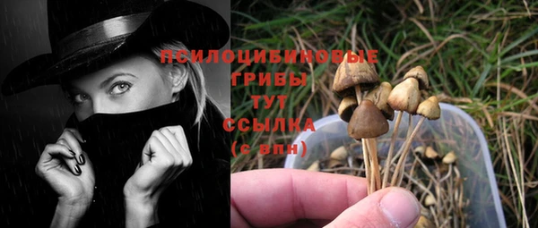сатива Волоколамск